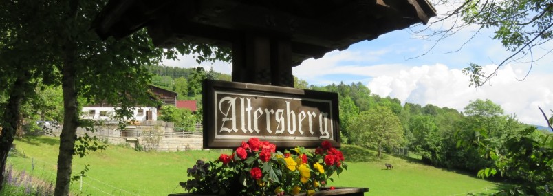 Kranzlsingen am Altersberg